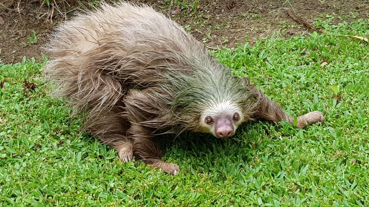 Ciudad Perdida Ecolodge Кауита Экстерьер фото